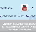 cat_contact