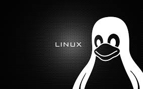 linux-t3