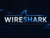 Wireshark เปิดตัวเวอร์ชัน 4.6.8 แก้ไขช่องโหว่ความปลอดภัย 28 รายการ